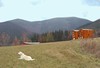SPA & WELLNESS hotel **** Ostravice